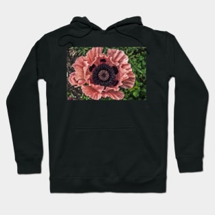 Poppy 5 Hoodie